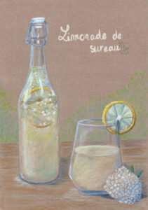 limonade de sureau Illustration - Elline Conti